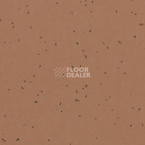 Линолеум Forbo Sphera Energetic 50225 masala фото 1 | FLOORDEALER